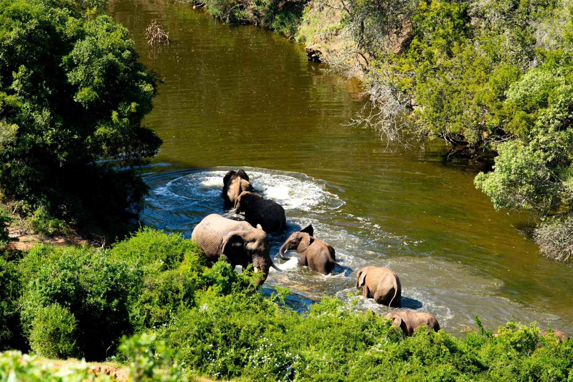 Hopewell Private Game Reserve Buyskloof Экстерьер фото
